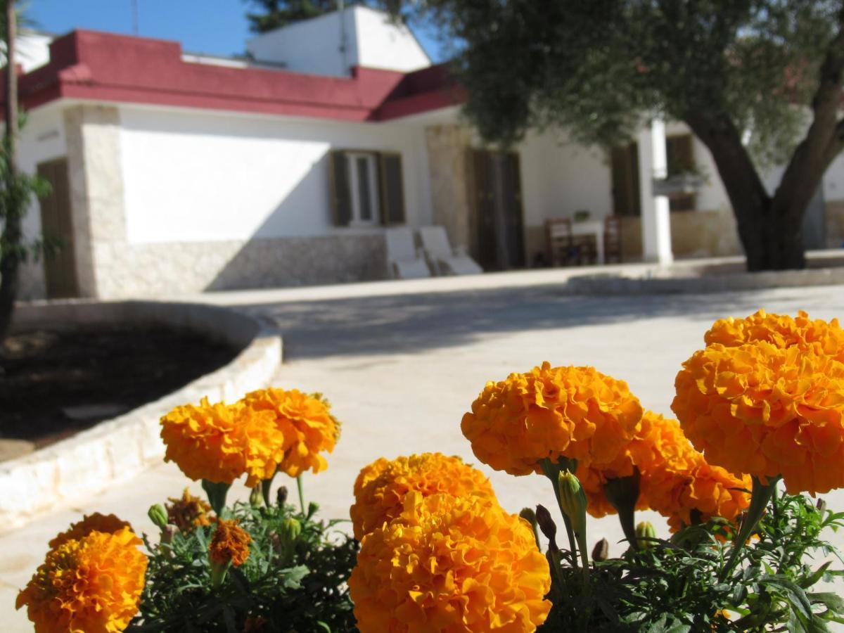 Casa Ale & Vinci Holiday home *