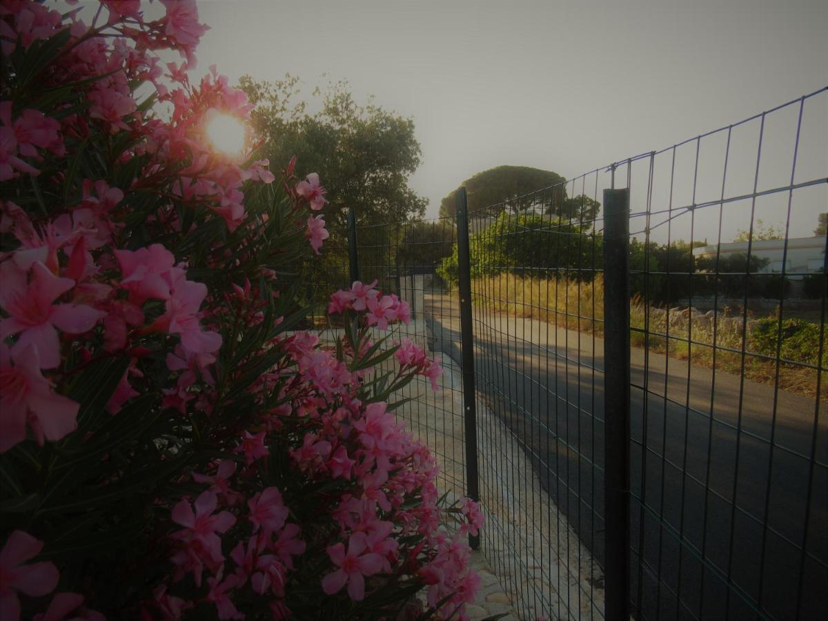 Casa Ale & Vinci Holiday home Monopoli