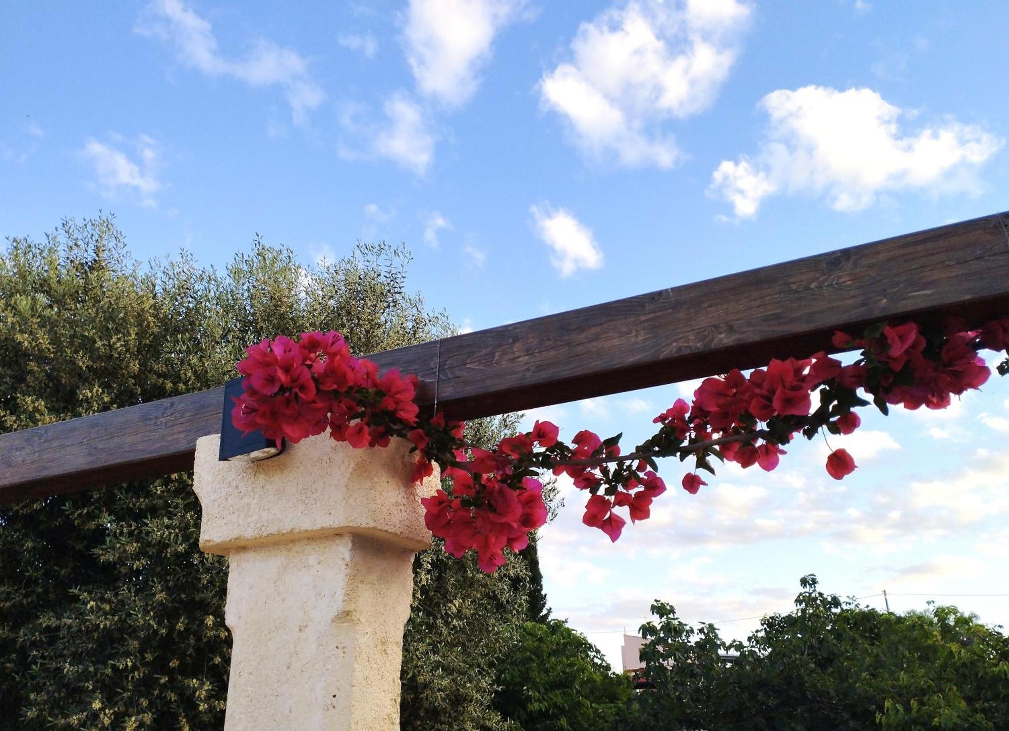 Casa Ale & Vinci Holiday home